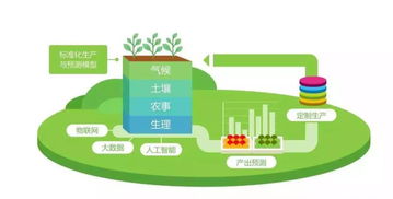5G網(wǎng)絡(luò)接通 農(nóng)業(yè)技術(shù)研究的轉(zhuǎn)折點能否落地農(nóng)田？