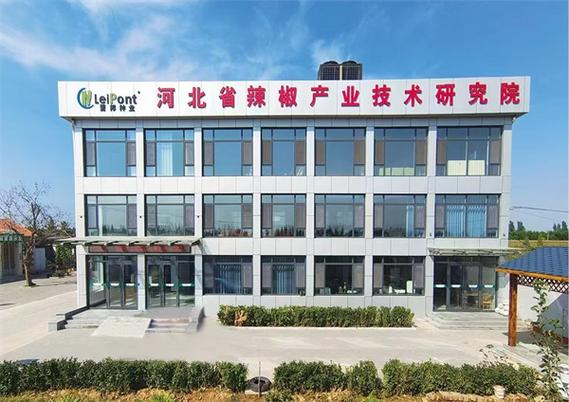 一個農業縣的"破圈"之旅:創新,讓河北雞澤不止于"椒鄉"