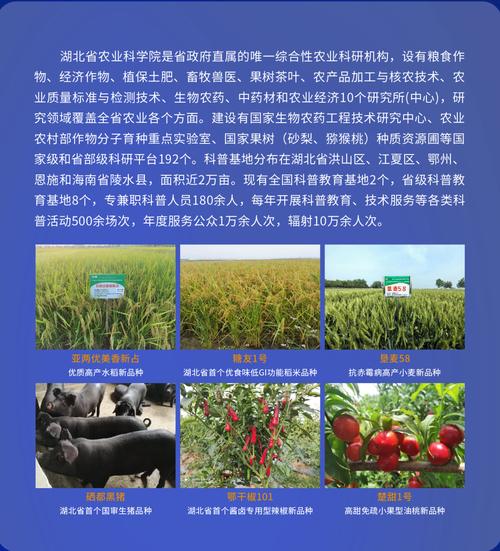 武漢量子技術研究院